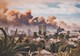 Smoke from wildfires rises above the palm trees and skyline of Los Angeles. 