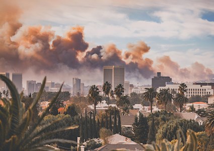 Smoke from wildfires rises above the palm trees and skyline of Los Angeles.